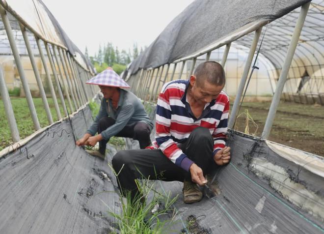 、航班取消、景点关闭暴雨主要在这个时段→最新！二次登陆上海地点有变！部分高铁停运(图5)